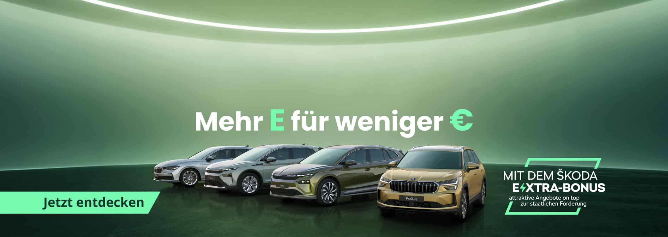 Skoda E Förderung