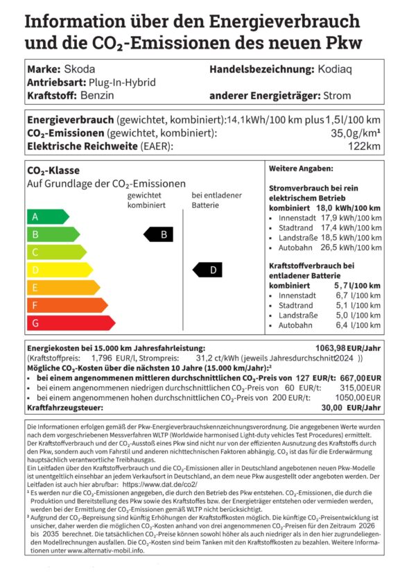 skoda_kodiaq_label
